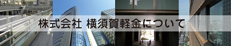株式会社横須賀軽金について
